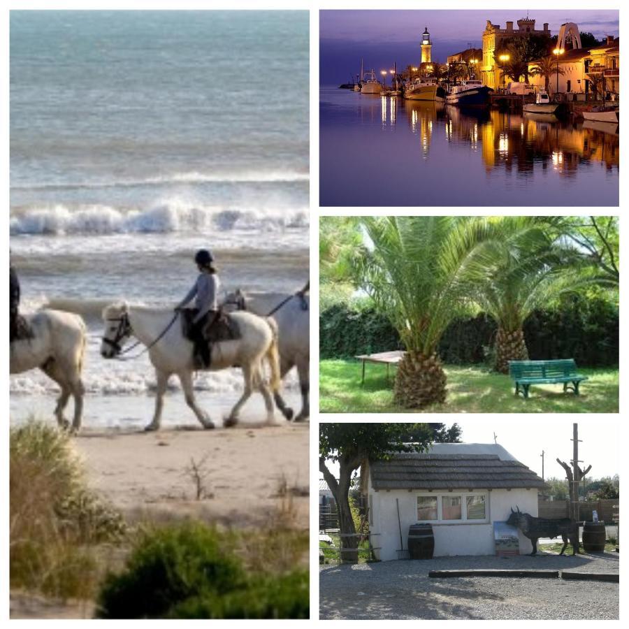 Seaside Oasis: Chic 2-room With Pool And Private Parking Le Grau-du-Roi